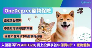 OneDegree寵物保險｜醫療保額高達$10萬！首年8折保費優惠 + 送寵物體檢！獨家優惠碼：PLANTO20